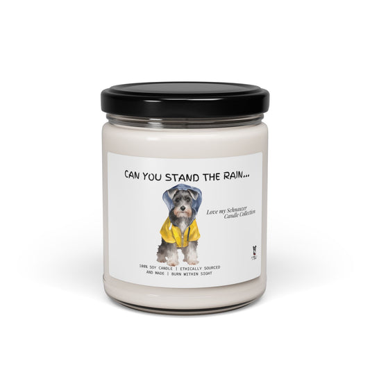 Can You Stand The Rain!      Scented Soy Candle, 9oz