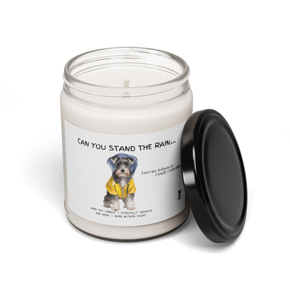 Can You Stand The Rain!      Scented Soy Candle, 9oz