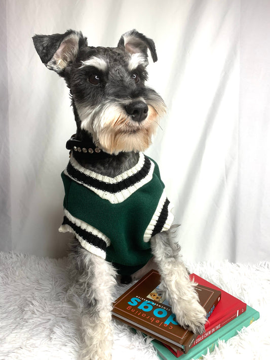 "Barkk University" Sweater Emerald Green