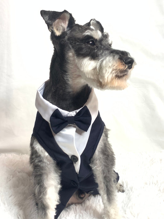 "Black Tie Affair" Pet Ensemble