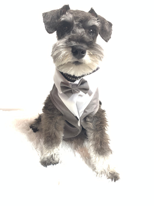 "Dapper" Grey Tux with Bowtie