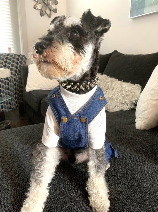 "Doggie Denim" Overalls